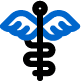 HIPAA icon