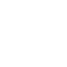 Next.js icon
